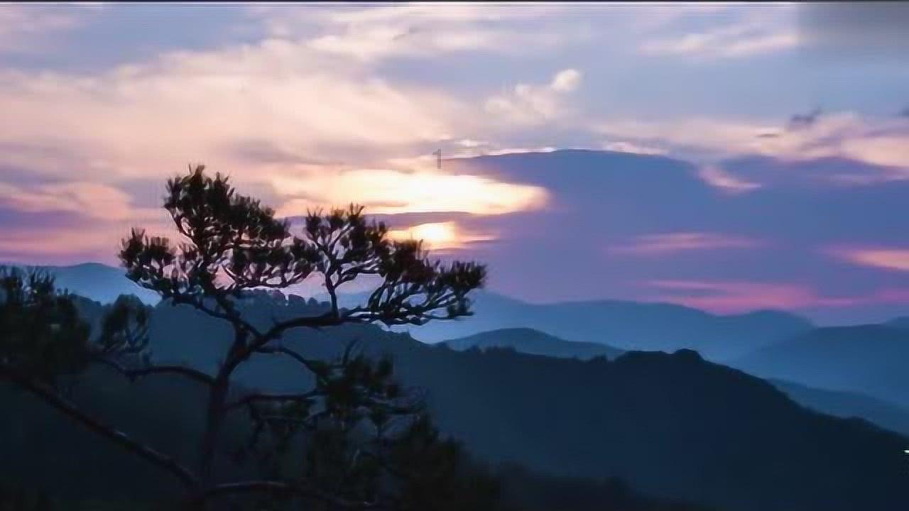 动物帮帮忙保卫家园