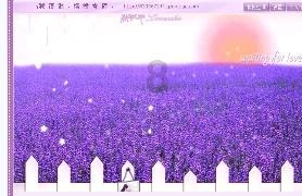 萌萌大眼公主