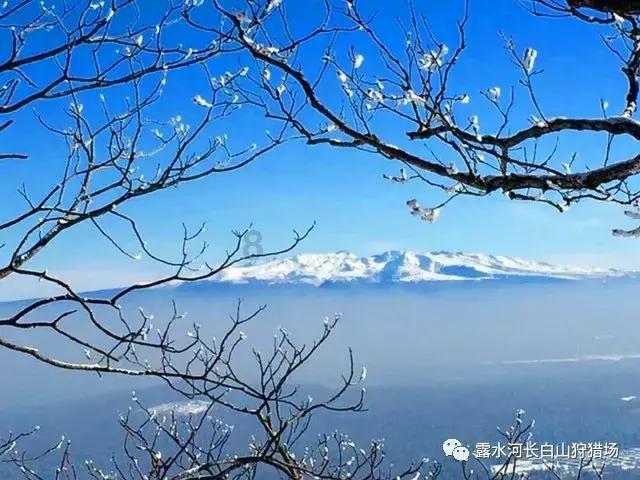 2023年山西产煤13.78亿吨，先进产能占比超80%