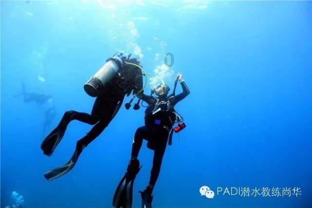 俄罗斯大使:俄罗斯与北约间仍保留有沟通渠道