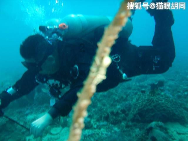 有哪些好用的手机录屏软件？这5款推荐给你
