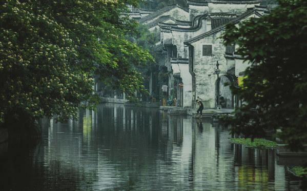 救援蓝鸦