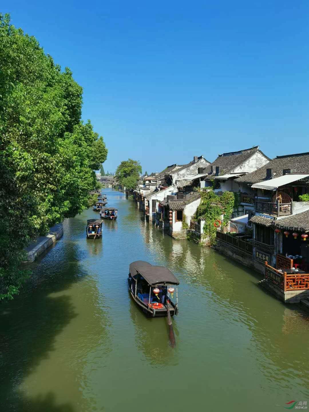 三小只僵尸的游戏时间3