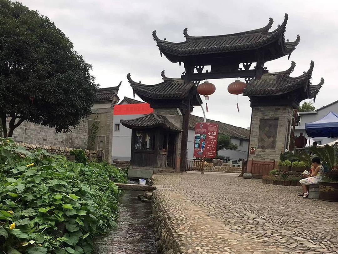 记者观察丨世界聚焦中国全球绿色低碳转型方案